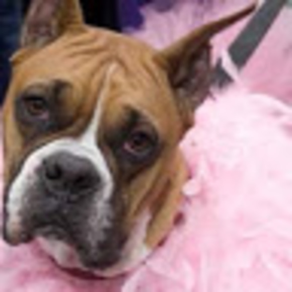 Meet your Posher, Karin - Picture 1 of 1